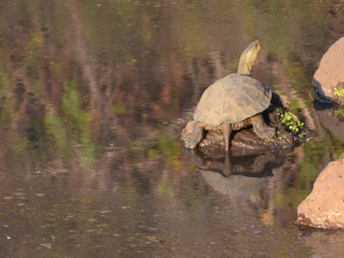 דרך ארץ טיולי ג'יפים